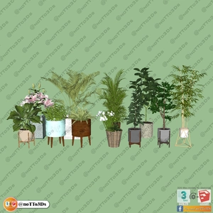 انواع گلدان برای اسکچاپ