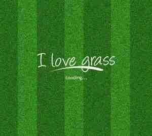 تکسچر بک گراند چمن Grass Texture-Seamless