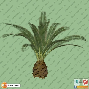 مجموعه ای از گل و گیاه و گلدان استوایی و گرمسیری برای اسکچاپ