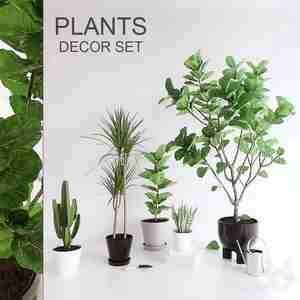 گلدون های آپارتمانی PLANTS SET