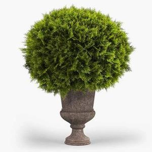 گلدون های بزرگ محوطه ای