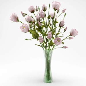 دسته گل استوما