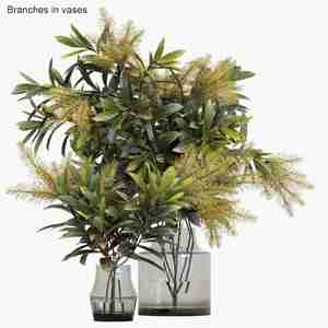 گیاه دکوری رو میزی Branches in Vases