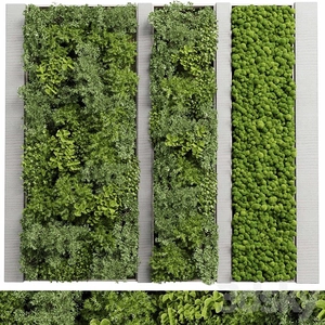 گرین وال / green wall / دیوار سبز