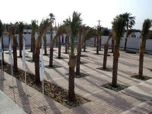 مرمت و بازسازی موزه رئیسعلی دلواری
