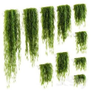 پیچک های اویزون