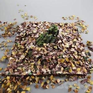 برگهای ریخته روی زمین
