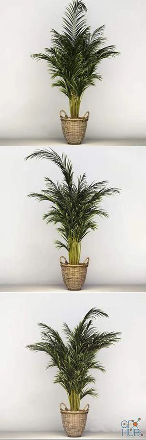 ابجکت گلدون بزرگ