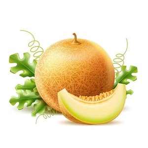 طالبی برای بک گراند
