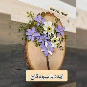 ایده با میوه درخت کاج