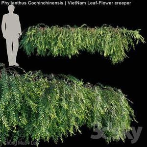 3d ابجکت درخچه های اویزون محوطه ای