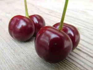 عکس گیلاس