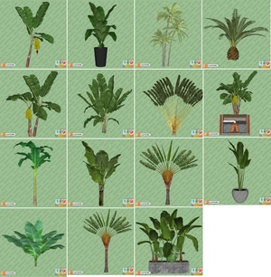 مجموعه ای از گل و گیاه و گلدان استوایی و گرمسیری برای اسکچاپ