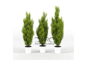 3d ابجکت گلدون درخچه کاج