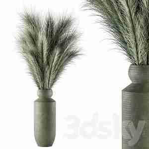 گیاهان خشک - شاخه سبز خشک