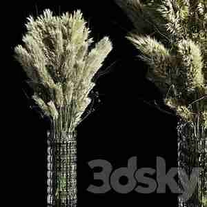 گلدان شیشه‌ای خشک پامپاس