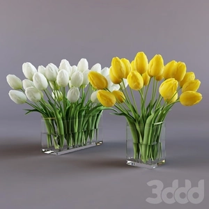 گلدون شیشه ای و گل لاله زرد و سفید