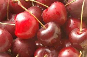 عکس گیلاس