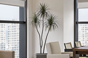 دکوراسیون طراحی شده در الهیه تهران مشکی و سفید