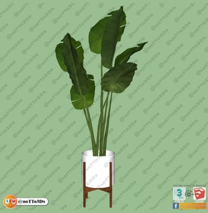 مجموعه ای از گل و گیاه و گلدان استوایی و گرمسیری برای اسکچاپ