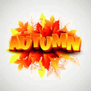 بک گراند کلمه پاییز انگلیسی و برگ 3d text and autumn