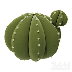 پاف شبیه کاکتوس