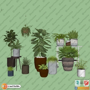 انواع گلدان آپارتمانی 2 برای اسکچاپ