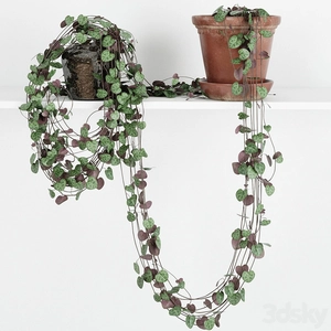 گلدون طاقچه ای آویزان