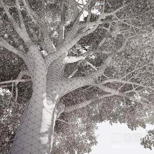 ابجکت درخت بزرک 3d