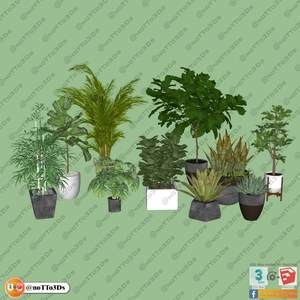 انواع گلدان زمینی کوچک برای اسکچاپ