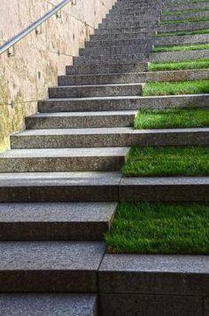 فلاور باکس در دل پله های بتنی محوطه