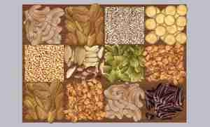 ظرف آجیل و خشکبار برای اسکچاپ