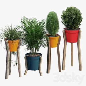 گلدون رنگی روی پایه چوبی