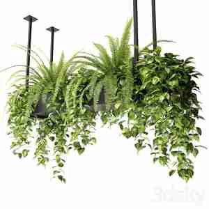 گلدون های آویز با پایه فلزی چسبیده به سقف  hanging rectangular planter