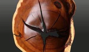 ظروف از چوب عناب