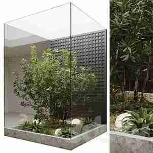 گیاهان داخل اتریوم | فلاورباکس داخل منزل