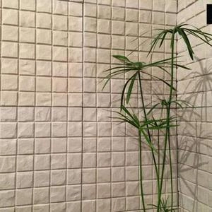 پنل سه بعدی مدل کوبیک وگل رز