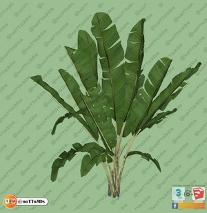 مجموعه ای از گل و گیاه و گلدان استوایی و گرمسیری برای اسکچاپ