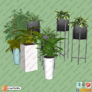 انواع گلدان برای اسکچاپ