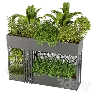 باکس گیاه فلزی