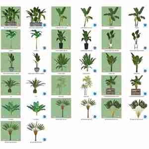 مجموعه ای از گل و گیاه و گلدان استوایی و گرمسیری برای اسکچاپ