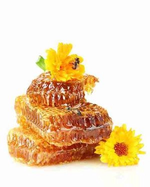 شان عسل عکس با کیفیت برای تبلیغات