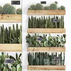 آبجکت کاکتوس  Vertical Gardening
