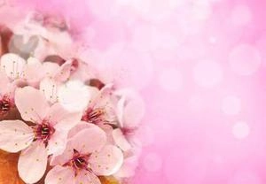 Seamless Flowers background