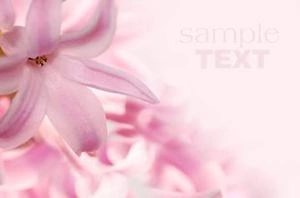 Seamless Flowers background