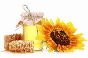 عکس خاص و خوب از عسل برای تبلیغات