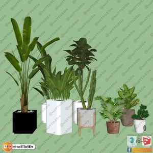 انواع گلدان برای اسکچاپ