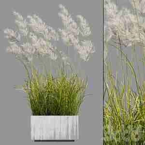 فلاور باکس سفید با گیاه برگ های نازک pampas grass 3