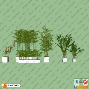 انواع گلدان برای اسکچاپ