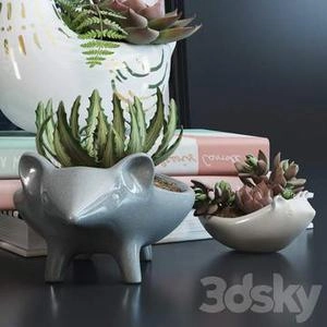 گلدون هار ریز تزیینی با کاکتوس